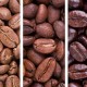 Varieties of coffee