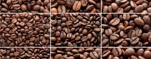 לדעת יותר על תהליך יצור הקפה